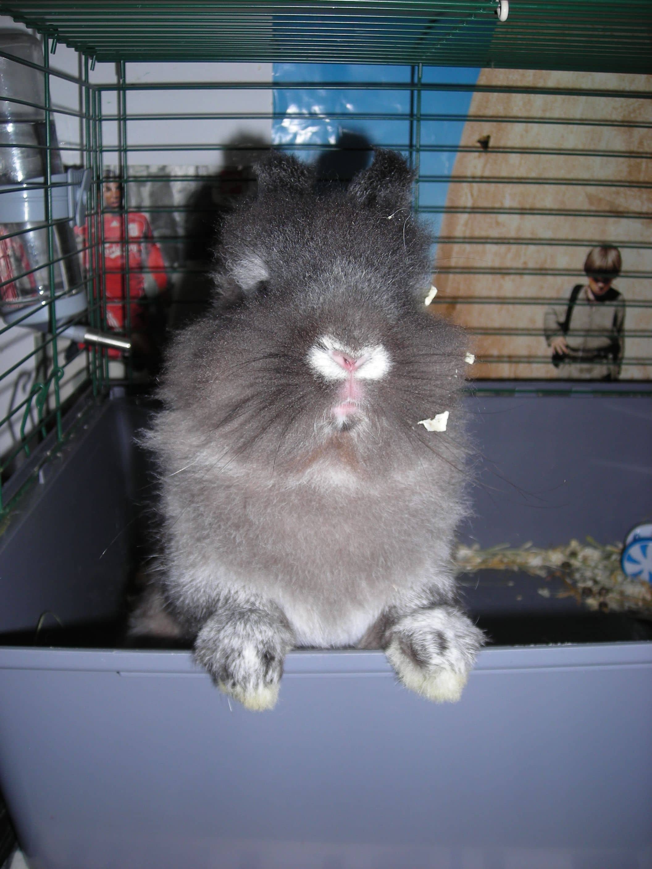 Hasznos tippek egy gazdinak