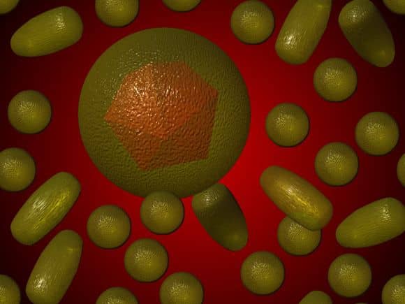 Májgyulladás (hepatitis)