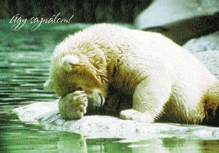 A bocsánatkérésről