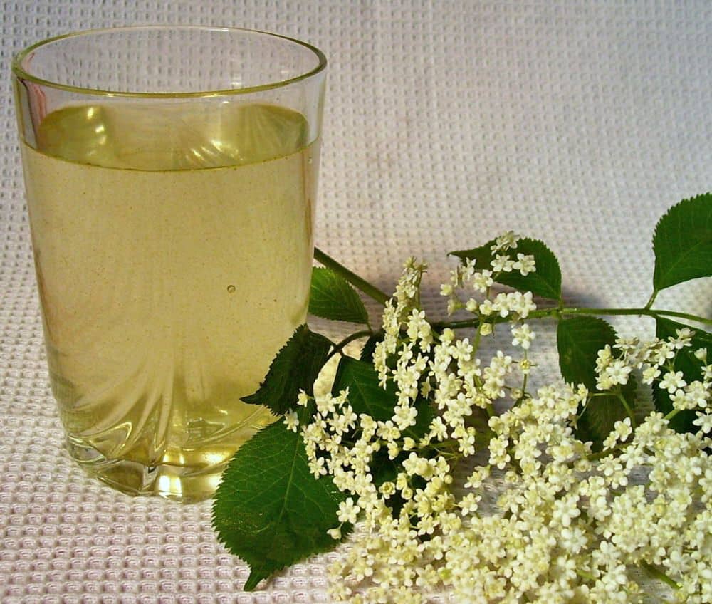 Bodza virág szörp (tartósító szer nélkül)