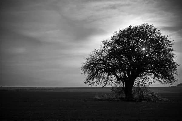 Leküzdhető a magány