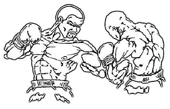 Ökölvívás alapjai