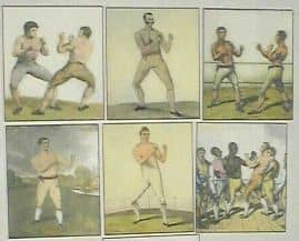 Ökölvívás világa