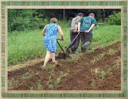 Őszi munkák a kertünkben