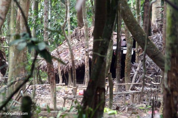 Esőerdei népek Ázsiában