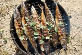 Grillszezon idején