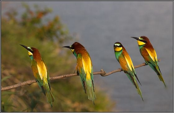 A házasságreform, avagy ne csak ketten…