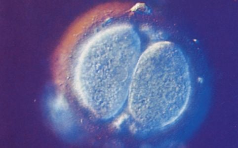 Hűség &#8211; hűtlenség