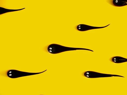 A férfi pontenciájának vizsgálata