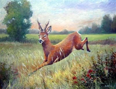 Állategészség védelem: A frontátvonulás