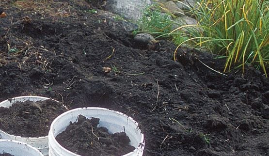 Állategészség védelem: A nehézfémsók