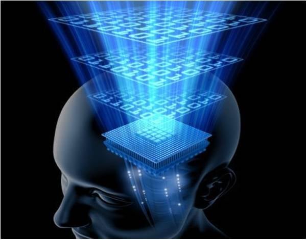 Az agy &#8222;fekete doboza&#8221; (black box)