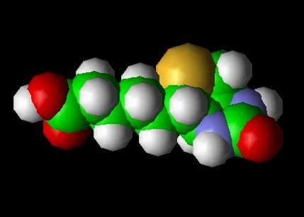 A Biotin és az anyagcsere