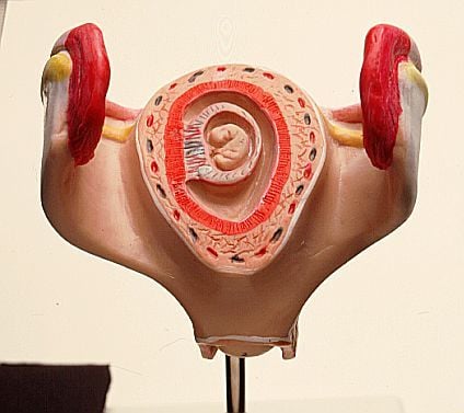 A teherbeesés időpontja