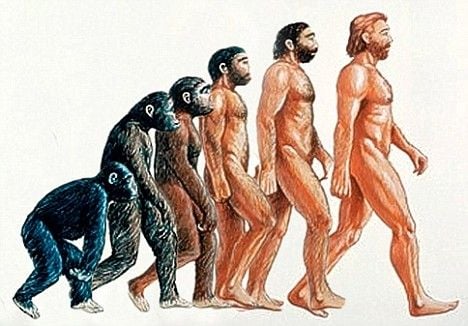 A tudat evolúciójának kora