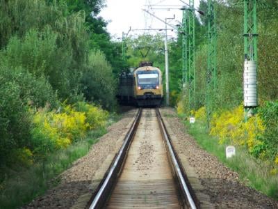 Előbb a sín, aztán a vonat