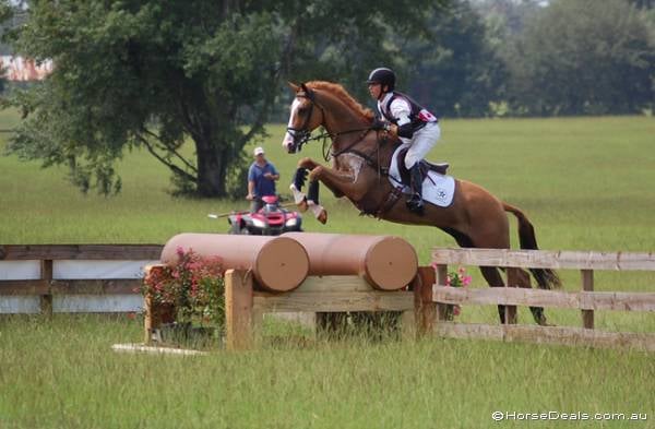 Lovastusa &#8211; a lovas sportok királya