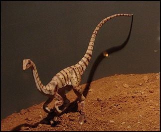 Compsognathus