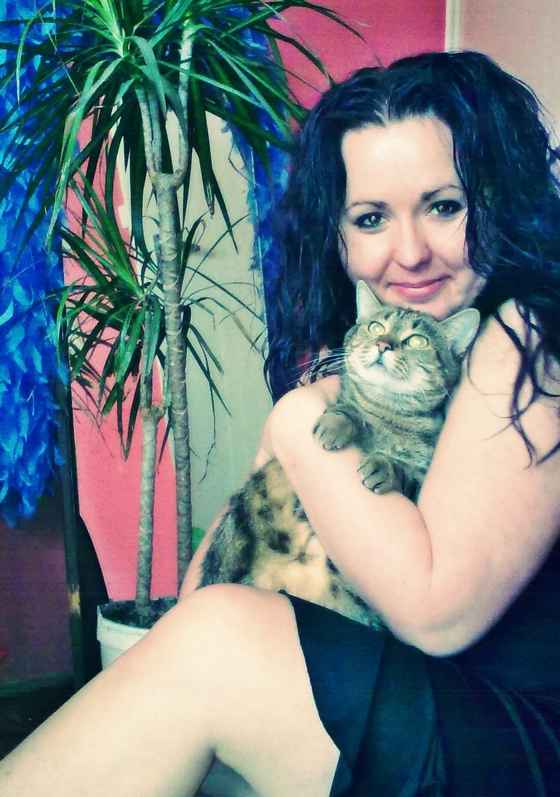 A szobacica és az elhízás