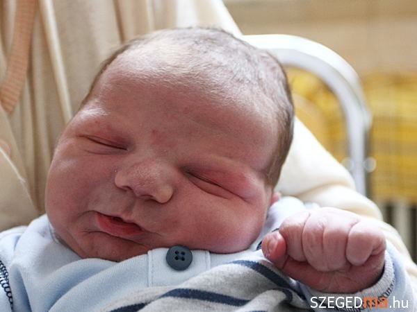 Az újszülött bőre