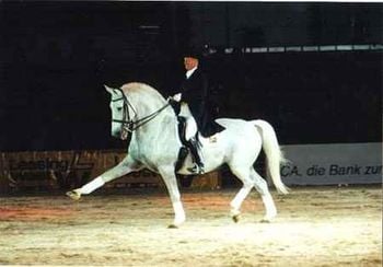 Díjlovaglás – a lovas sportok egyik legszebbike