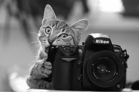 Legyen jó az esküvő képed!