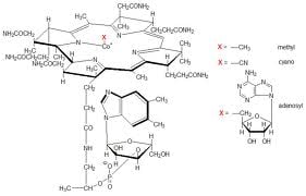 B12-vitamin
