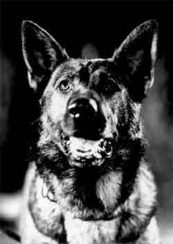 Kántor