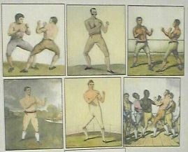 Ökölvívás világa