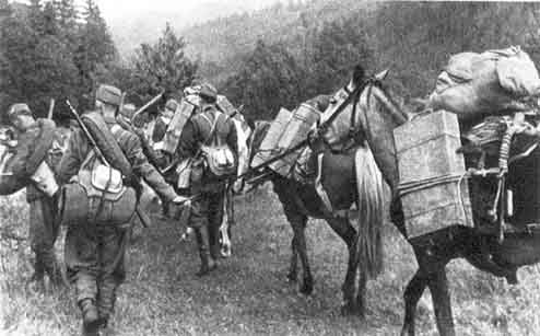 Gazdaság és háború