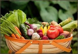 Sav-bázis egyensúly