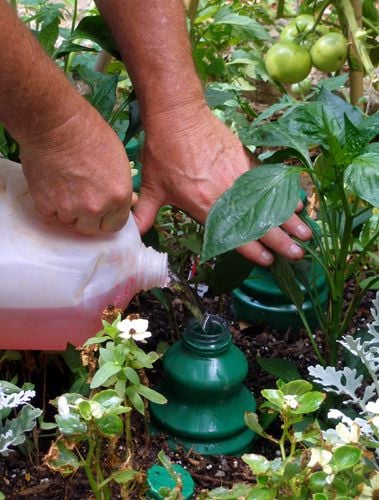 A folyékony trágyázás