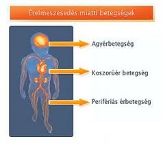 Vitaminnal az érelmeszesedés ellen