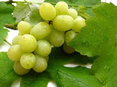 Őszi gyümölcsök – őszi méregtelenítés