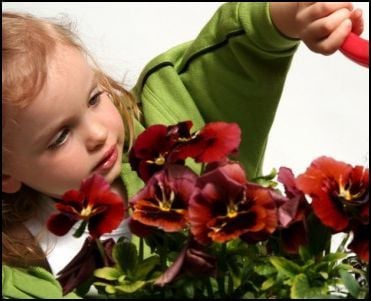 Környezettudatosság