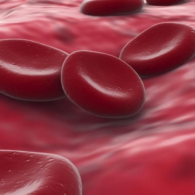 Vérszegénység- anaemia