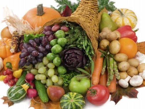 A fajtaválasztás és a palánta nevelés, vásárlás irányelvei