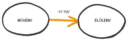 A fogalomalkotásról