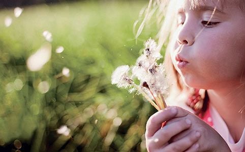 Allergia elleni védekezés folyamata