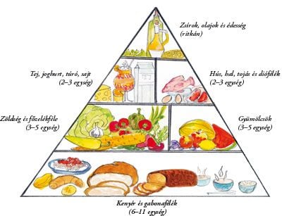 Hogyan fogyjunk szemmel láthatóan és egészségesen ?