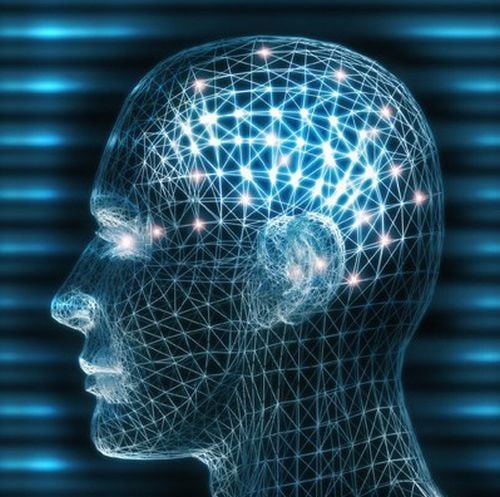 Miért hívják az agy egyes részeit hüllő-, illetve emlősagynak?