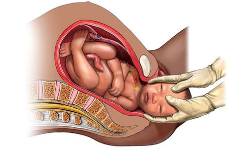 Mikor van a legtöbb agysejtünk?