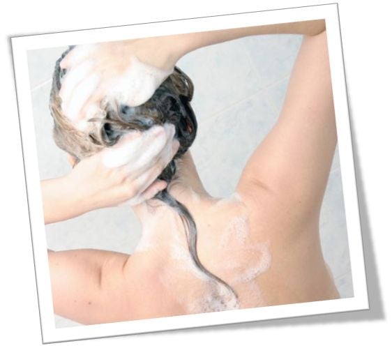 A samponom összetétele