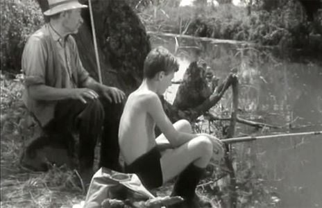 Facebook helyett Tüskevár