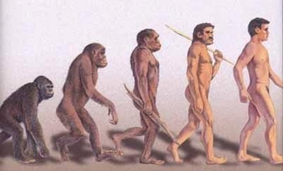 Az evolúció folyamata