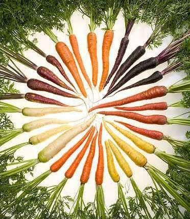 Az étrend és az egészség kapcsolata