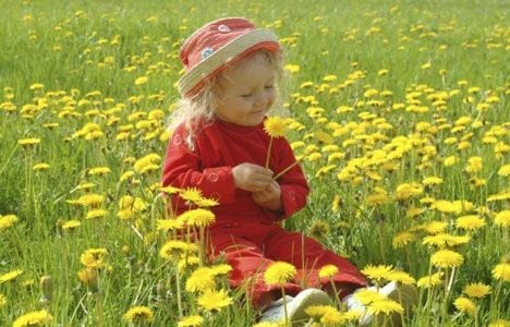 A szénanátha kezelése