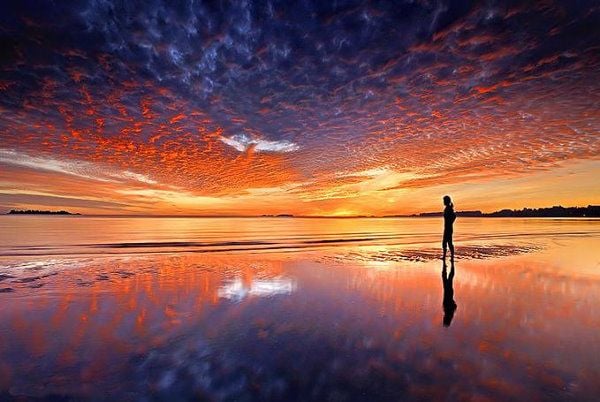 Az érzéki tevékenység