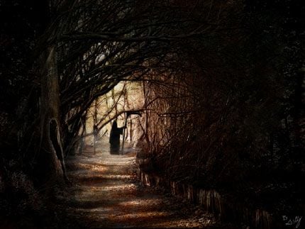 A tudat okkult útja