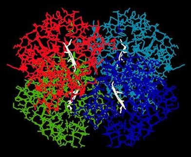 Állategészség védelem: Goitrogén peptidek